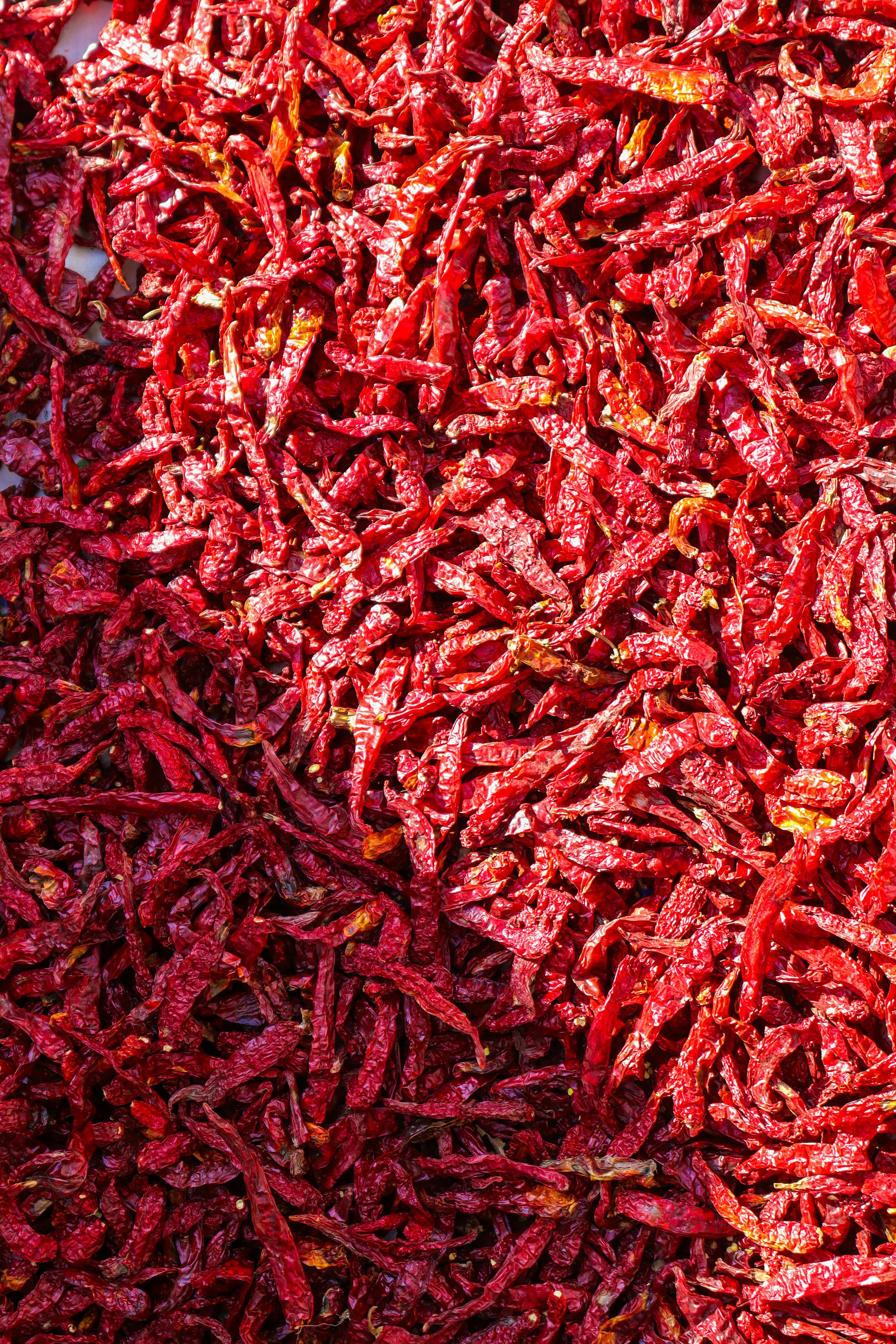 Guntur & Sattur: The Chilli Pioneers
