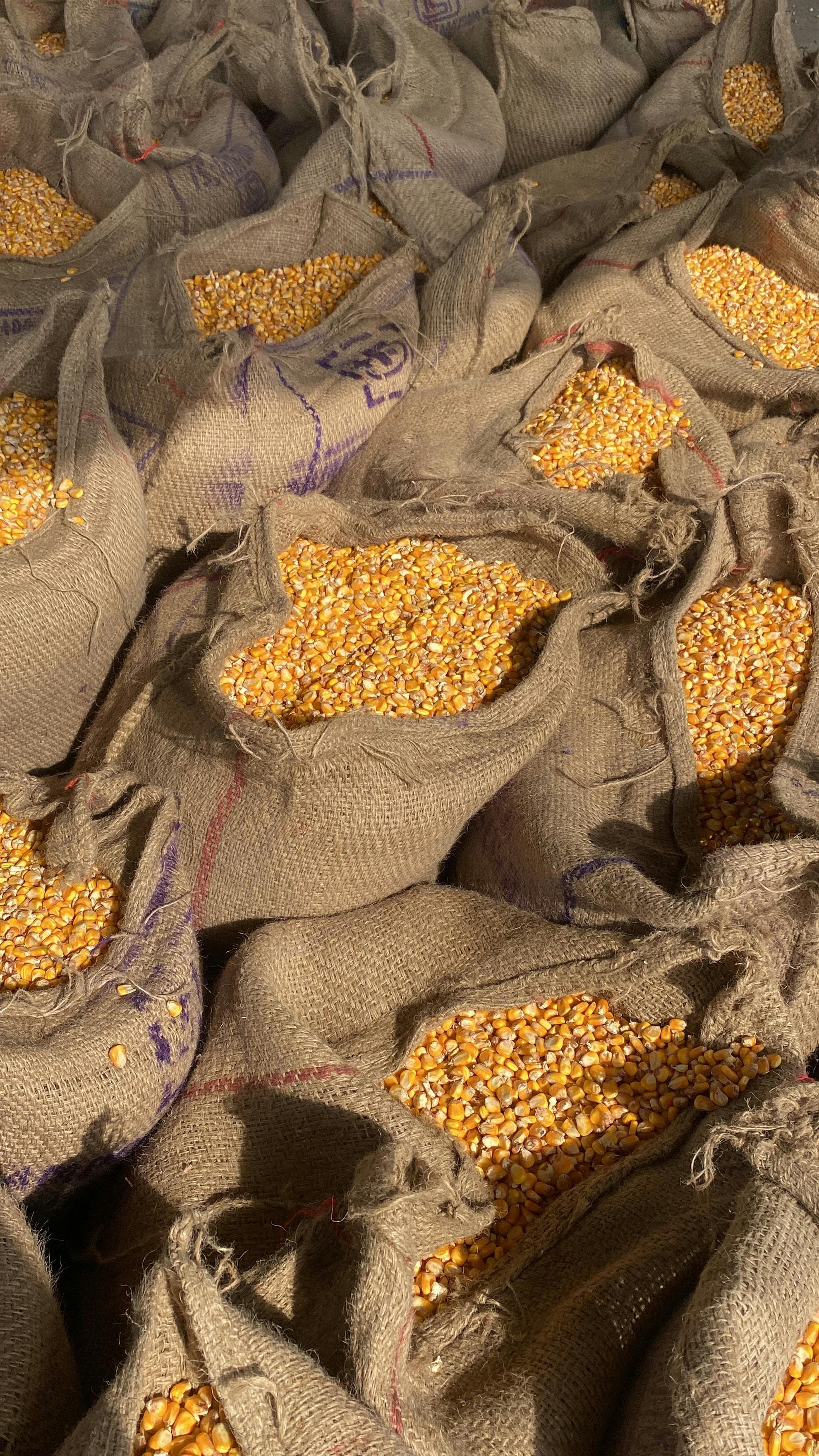 Strong Demand for Indian Products