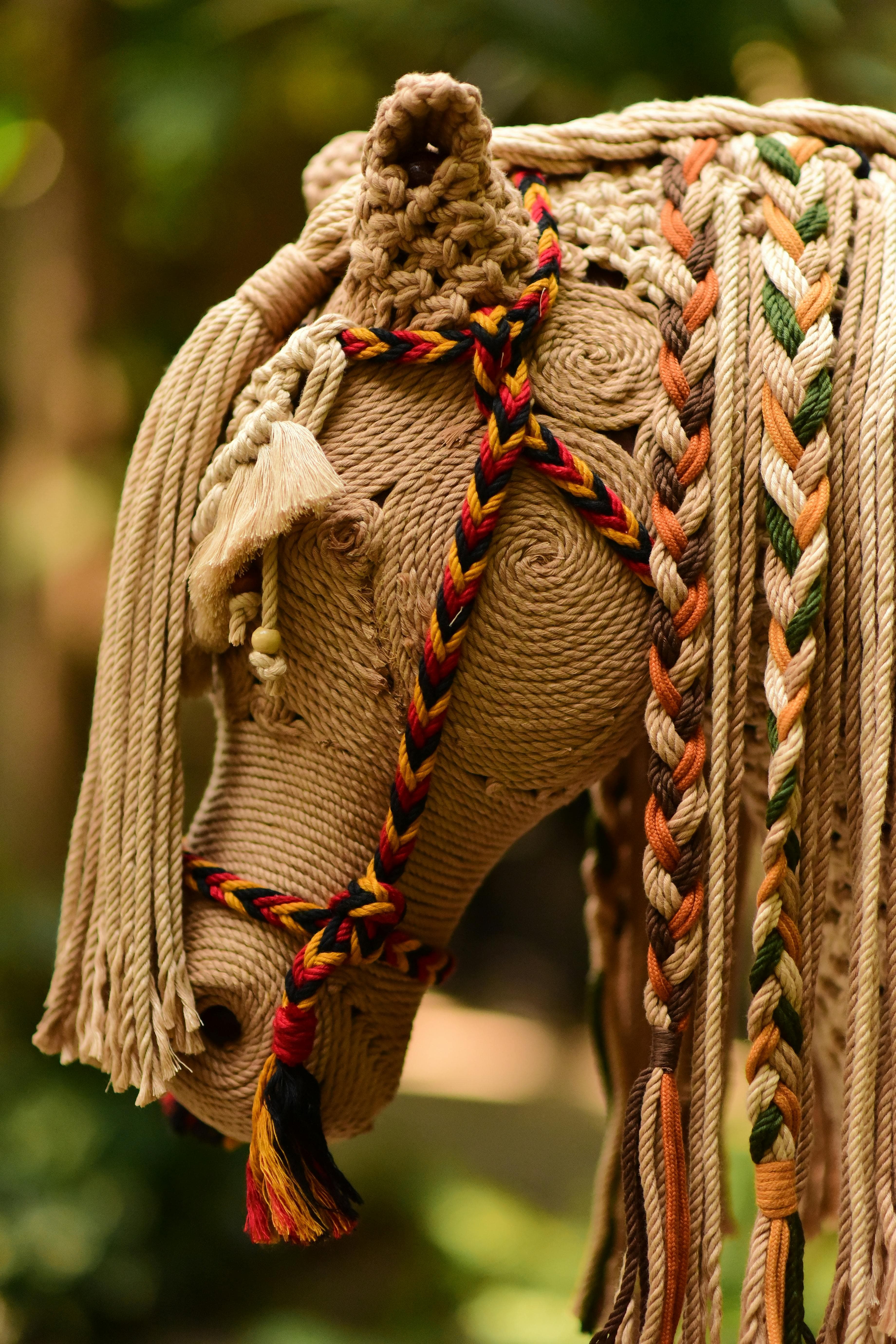 Coir & Natural Fiber Innovation